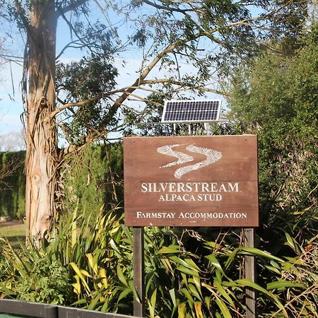 Silverstream Alpaca Farmstay & Tour Kaiapoi Exterior foto
