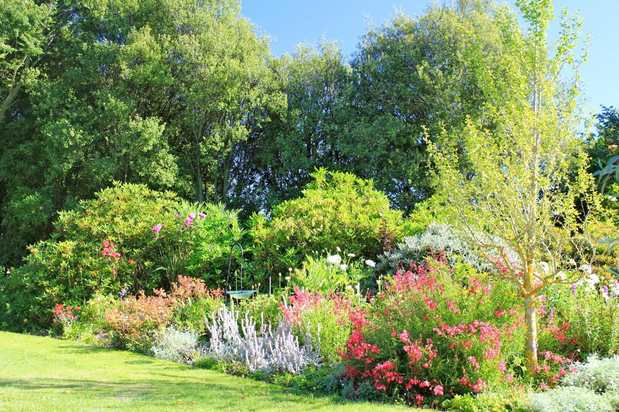 Silverstream Alpaca Farmstay & Tour Kaiapoi Exterior foto