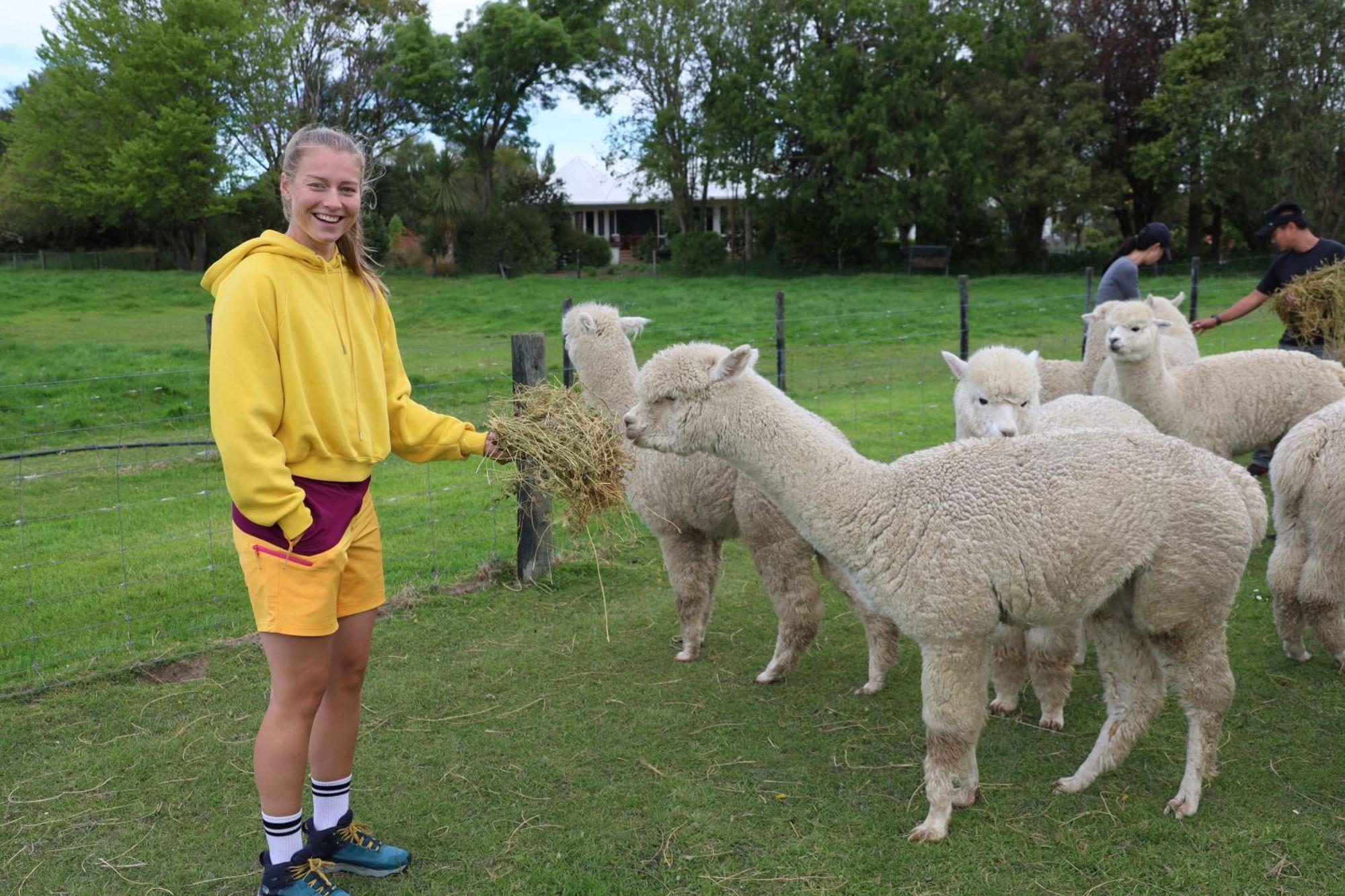 Silverstream Alpaca Farmstay & Tour Kaiapoi Exterior foto
