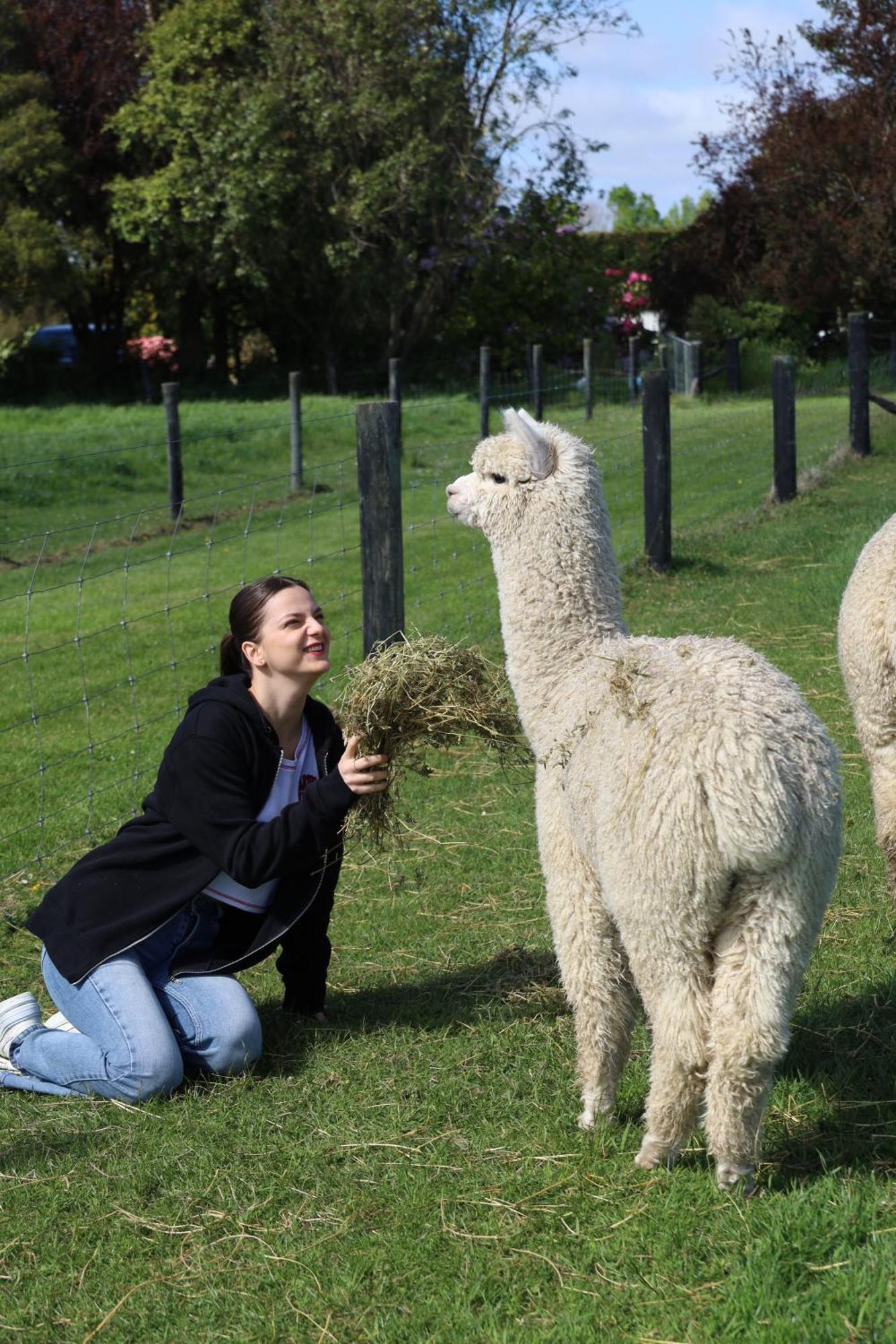 Silverstream Alpaca Farmstay & Tour Kaiapoi Exterior foto