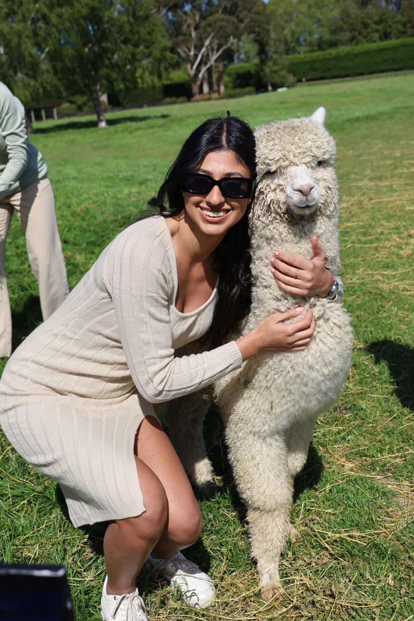 Silverstream Alpaca Farmstay & Tour Kaiapoi Exterior foto