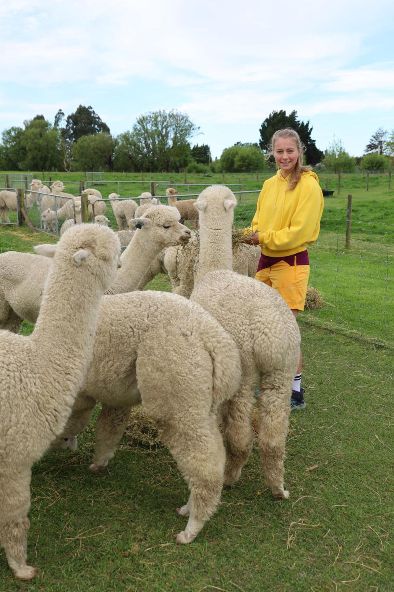 Silverstream Alpaca Farmstay & Tour Kaiapoi Exterior foto