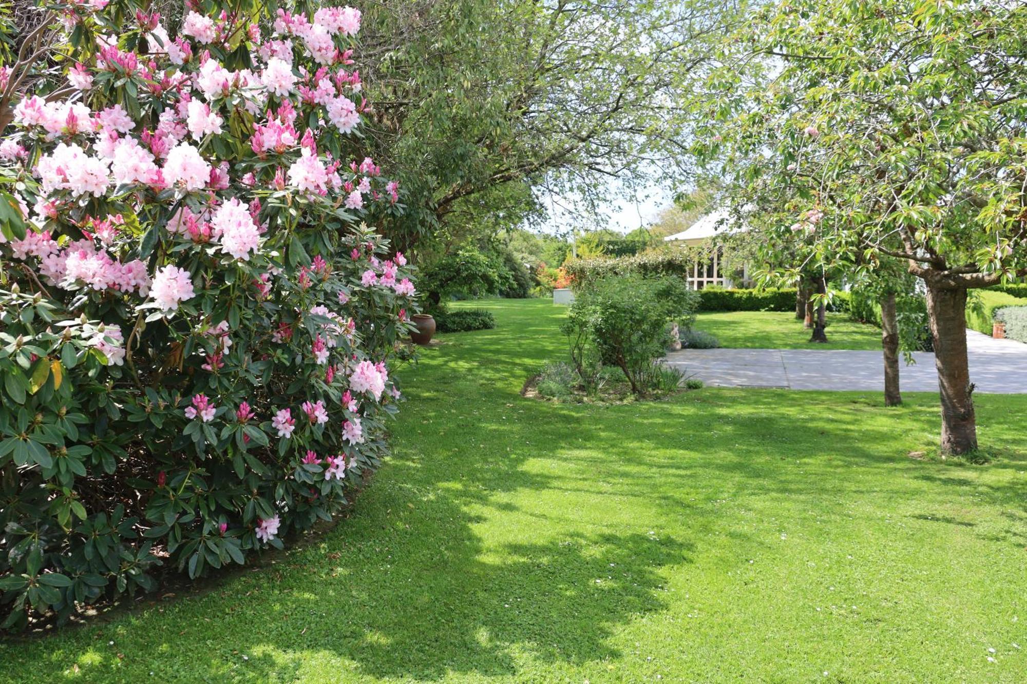 Silverstream Alpaca Farmstay & Tour Kaiapoi Exterior foto