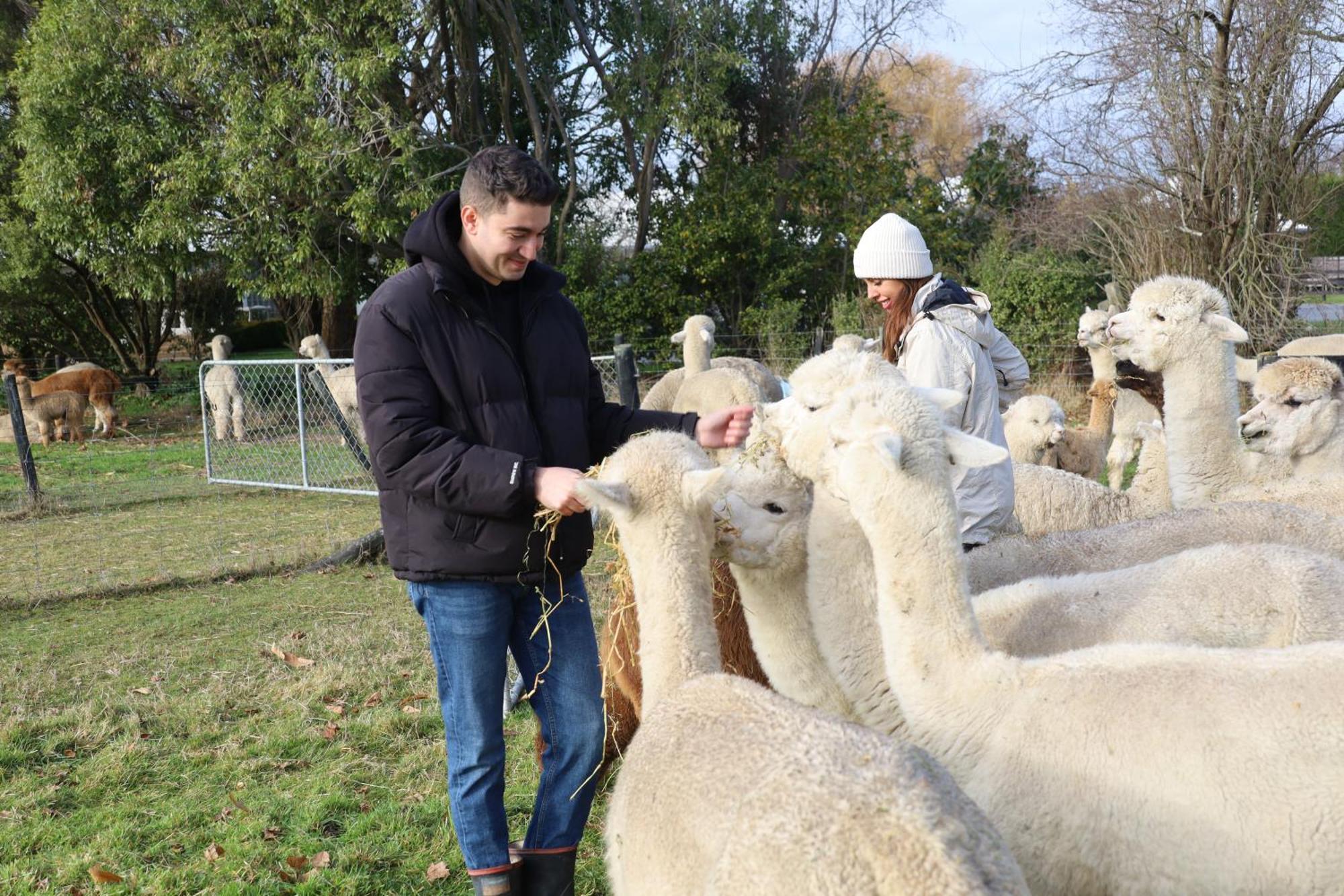 Silverstream Alpaca Farmstay & Tour Kaiapoi Exterior foto