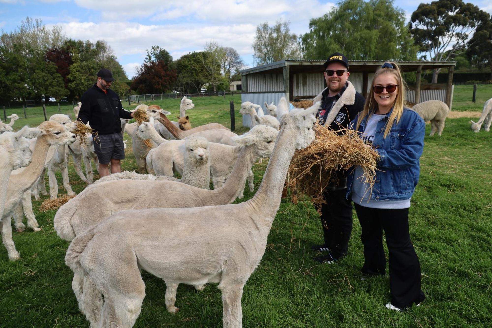 Silverstream Alpaca Farmstay & Tour Kaiapoi Exterior foto