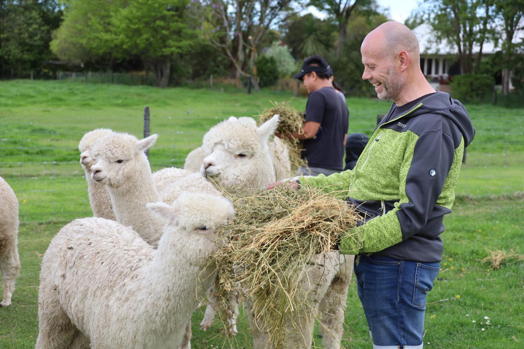 Silverstream Alpaca Farmstay & Tour Kaiapoi Exterior foto