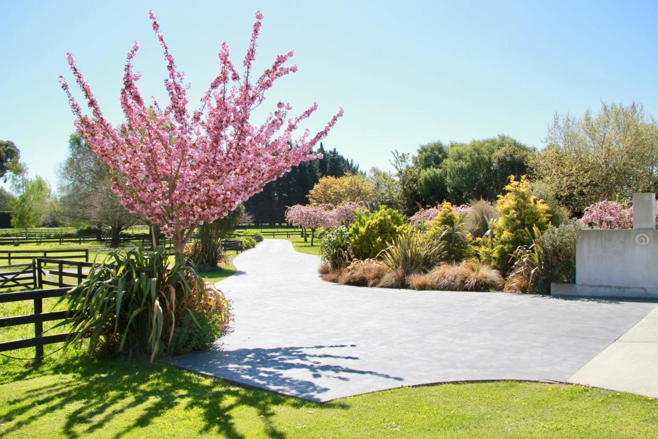 Silverstream Alpaca Farmstay & Tour Kaiapoi Exterior foto